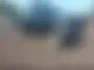 Vehicle Image- 2001 Toyota Tacoma