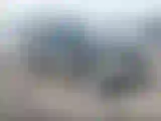 Vehicle Image- 2003 Toyota Tacoma