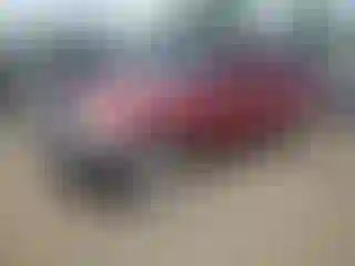 Vehicle Image- 2000 Toyota Tacoma