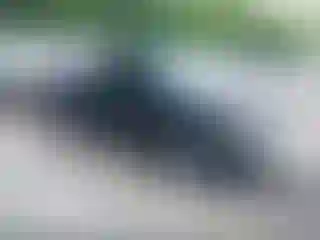 Vehicle Image- 2004 Toyota Tacoma