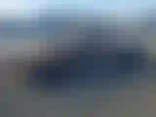 Vehicle Image- 2001 Toyota Tacoma