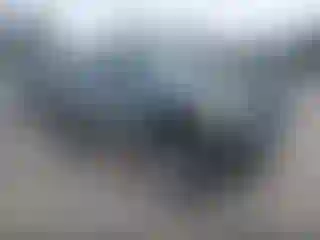 Vehicle Image- 2004 Toyota Tacoma
