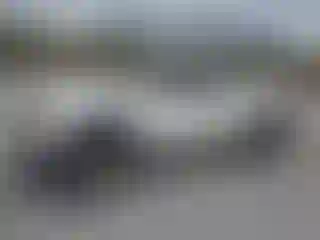 Vehicle Image- 2001 Toyota Tacoma
