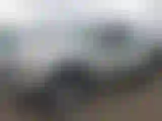 Vehicle Image- 2004 Toyota Tacoma