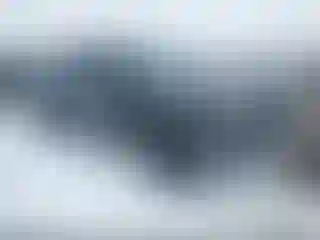 Vehicle Image- 2020 Toyota Tacoma