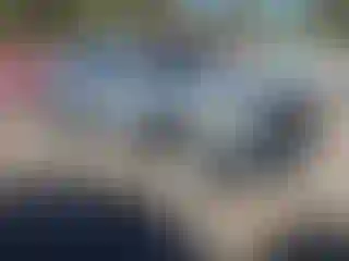 Vehicle Image- 2016 Toyota Tacoma