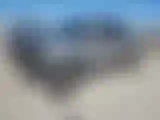 Vehicle Image- 2019 Toyota Tacoma