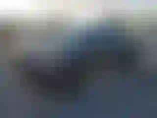 Vehicle Image- 2020 Toyota Tacoma