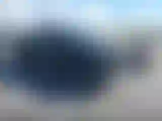 Vehicle Image- 2019 Toyota Tacoma
