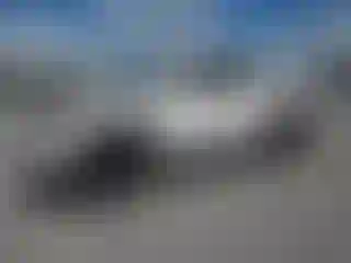 Vehicle Image- 2020 Toyota Tacoma