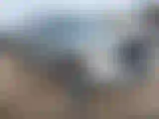 Vehicle Image- 2019 Toyota Tundra