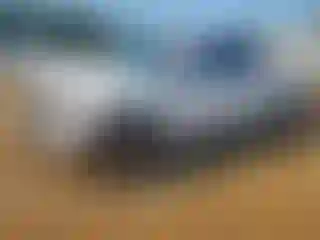 Vehicle Image- 2019 Toyota Tundra