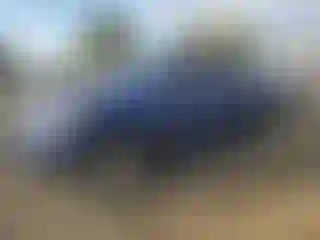 Vehicle Image- 2014 Toyota Tundra