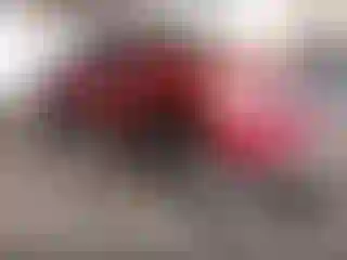 Vehicle Image- 2017 Toyota Tundra