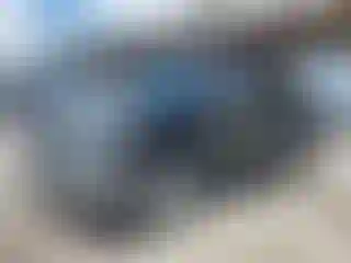 Vehicle Image- 2021 Toyota Tundra