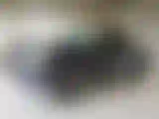 Vehicle Image- 2021 Toyota Tacoma