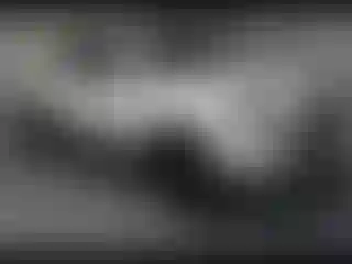 Vehicle Image- 2021 Toyota Tacoma