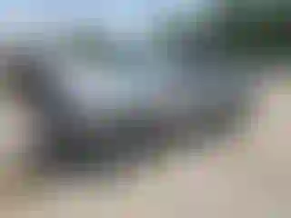 Vehicle Image- 2019 Toyota Tacoma