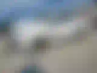 Vehicle Image- 2020 Toyota Tacoma