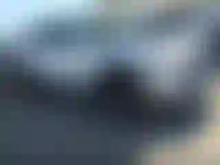 Vehicle Image- 2021 Toyota Tacoma