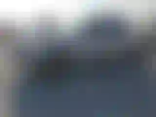Vehicle Image- 2021 Toyota Tacoma