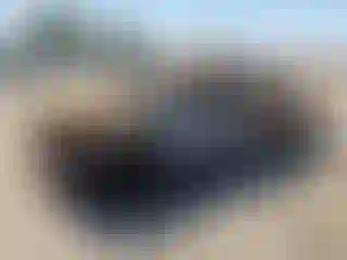 Vehicle Image- 2017 Toyota Tacoma