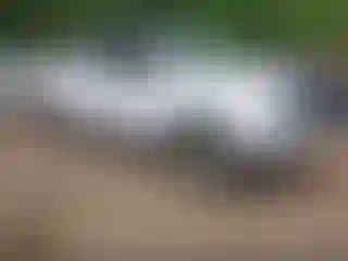 Vehicle Image- 2008 Toyota Tundra