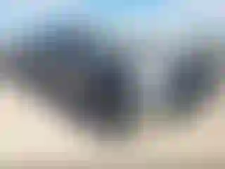 Vehicle Image- 2009 Toyota Tundra