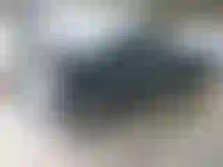 Vehicle Image- 2007 Toyota Tundra