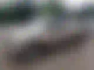 Vehicle Image- 2007 Toyota Tundra