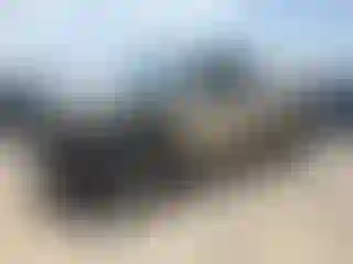Vehicle Image- 2008 Toyota Tundra