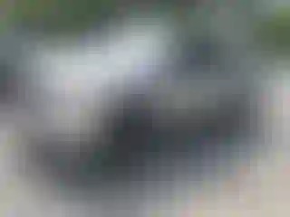 Vehicle Image- 2008 Toyota Tundra