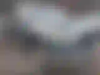 Vehicle Image- 2008 Toyota Tundra