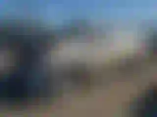 Vehicle Image- 2008 Toyota Tundra