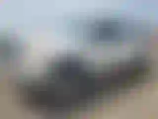 Vehicle Image- 2008 Toyota Tundra