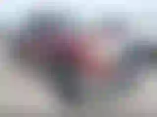 Vehicle Image- 2007 Toyota Tundra