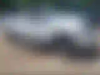 Vehicle Image- 2007 Toyota Tundra