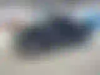 Vehicle Image- 2008 Toyota Tundra