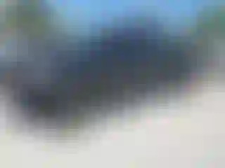 Vehicle Image- 2007 Toyota Tundra