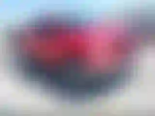 Vehicle Image- 2009 Toyota Tundra