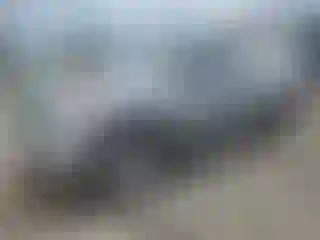 Vehicle Image- 2009 Toyota Tundra