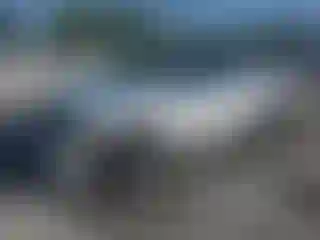 Vehicle Image- 2013 Toyota Tundra