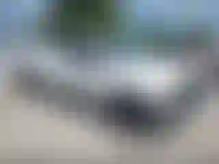Vehicle Image- 2008 Toyota Tundra