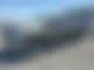 Vehicle Image- 2008 Toyota Tundra