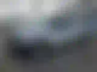 Vehicle Image- 2010 Toyota Tundra