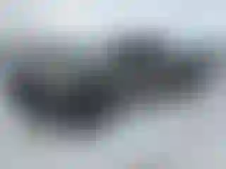 Vehicle Image- 2010 Toyota Tundra