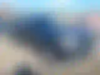 Vehicle Image- 2019 Toyota Tacoma