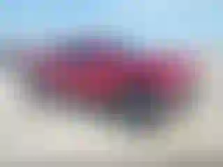 Vehicle Image- 2019 Toyota Tacoma