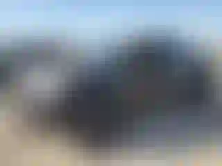 Vehicle Image- 2020 Toyota Tacoma