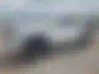 Vehicle Image- 2021 Toyota Tacoma